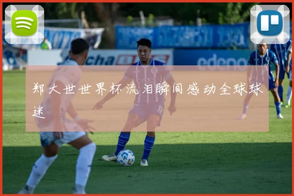 郑大世世界杯流泪瞬间感动全球球迷