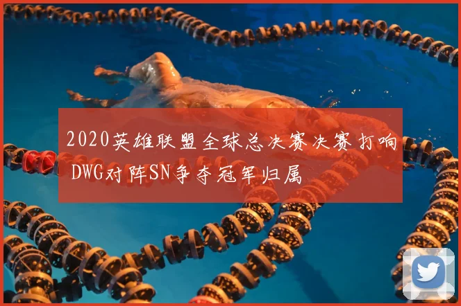 2020英雄联盟全球总决赛决赛打响 DWG对阵SN争夺冠军归属