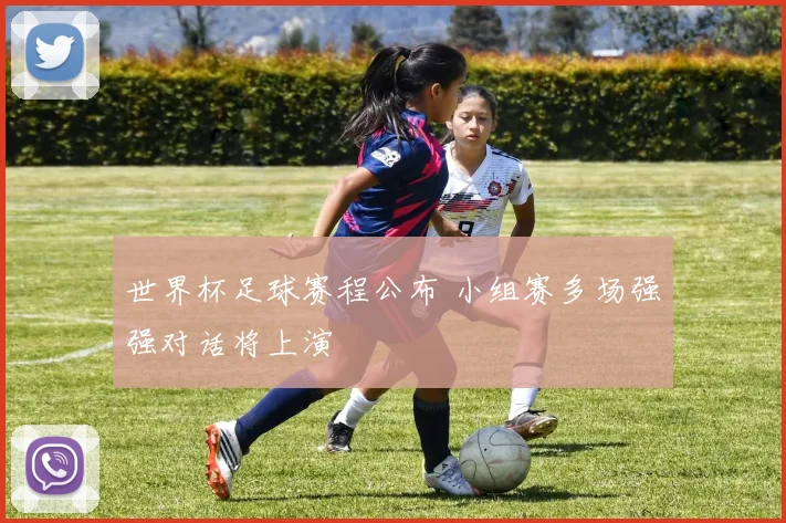 世界杯足球赛程公布 小组赛多场强强对话将上演