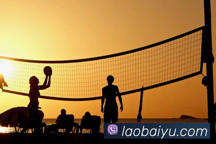 世界杯官网登录app平台生态图